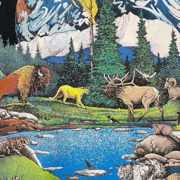 Vintage 80s New Mexico T-Shirt Rag Tops Chief Seattle Size M Screen Stars Best - Picture 5 of 10